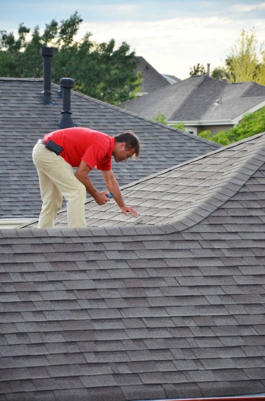 Specialized Roof Repair Experts